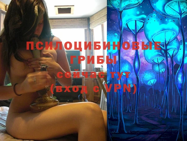 бутират Костерёво